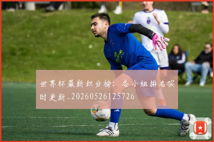 世界杯最新积分榜：各小组排名实时更新_20260526125726